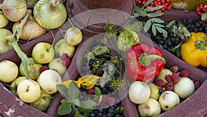 Fruit and vegetable varieties between spokes of an old wooden cartwheel.ÃÂ Fresh fruits and vegetables.ÃÂ Organic food background